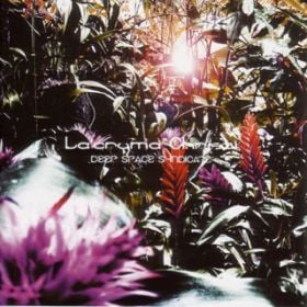 Mystical Glider (Album MIX) 歌詞 La'cryma Christi | オリコン
